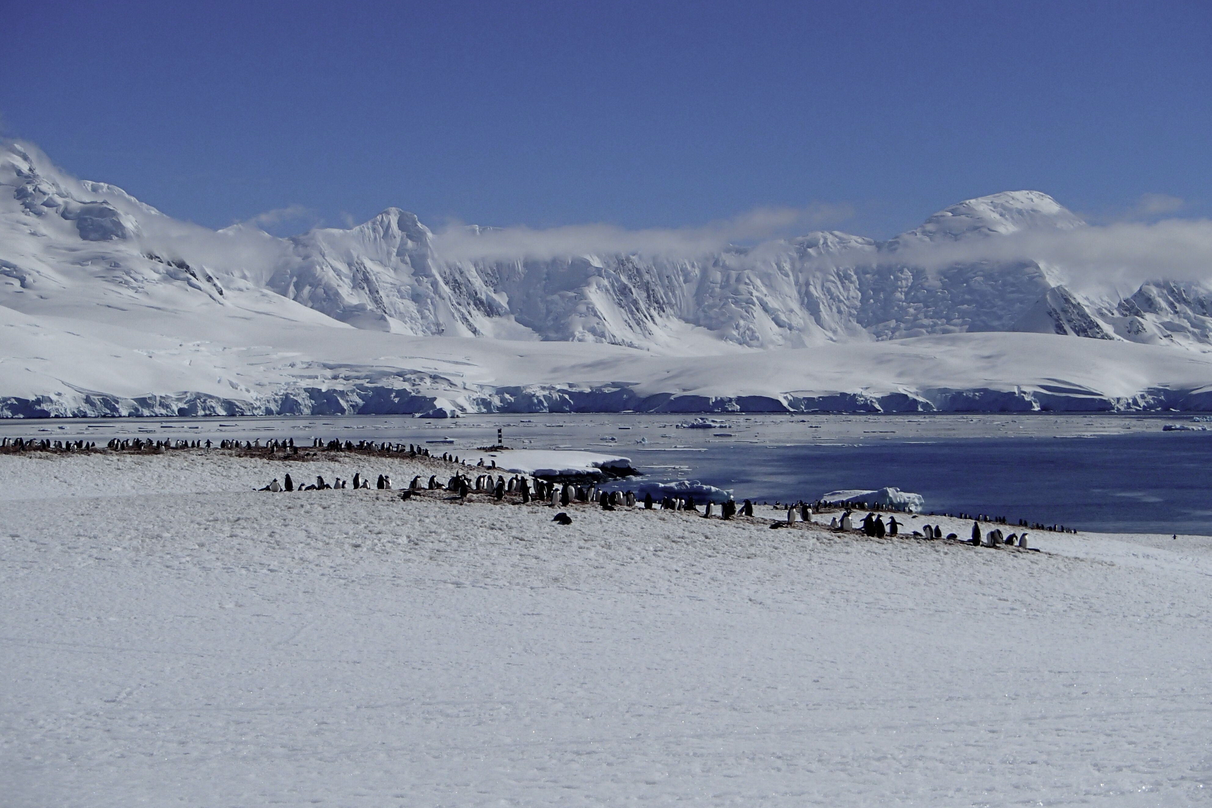 The Last Desert 2012の風景1