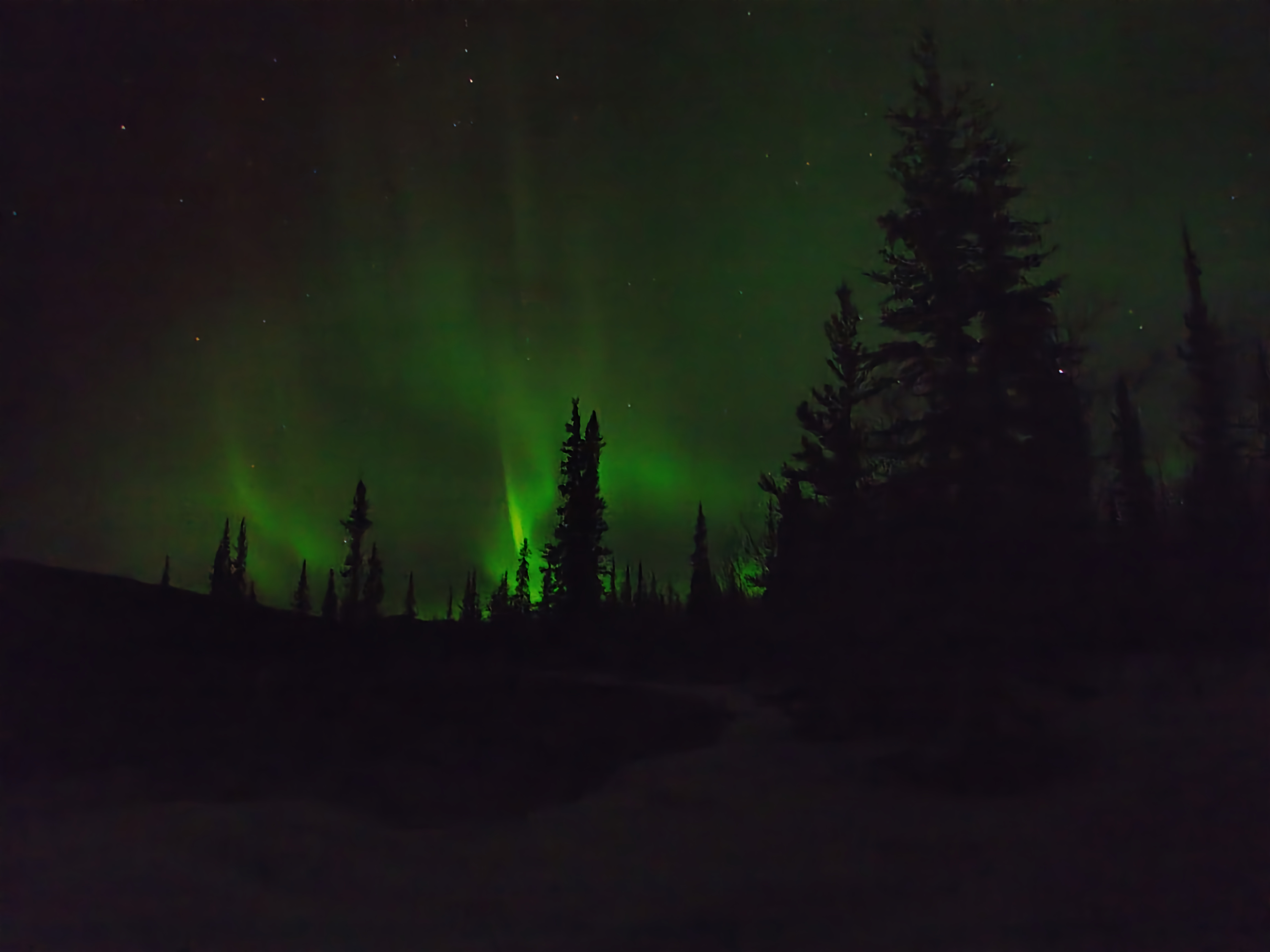 Yukon Arctic Ultra 2016の風景1
