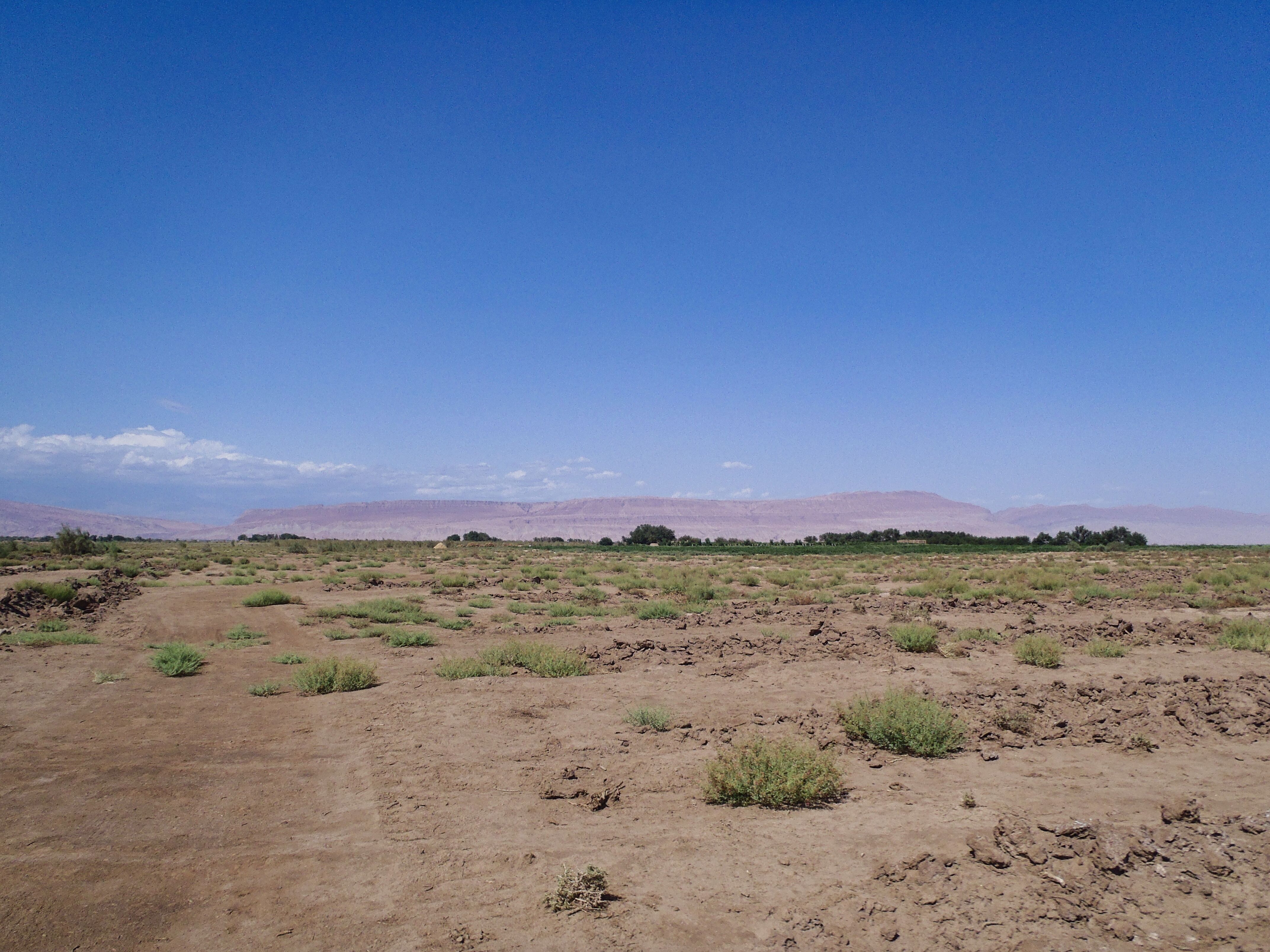 Gobi March 2011の風景3