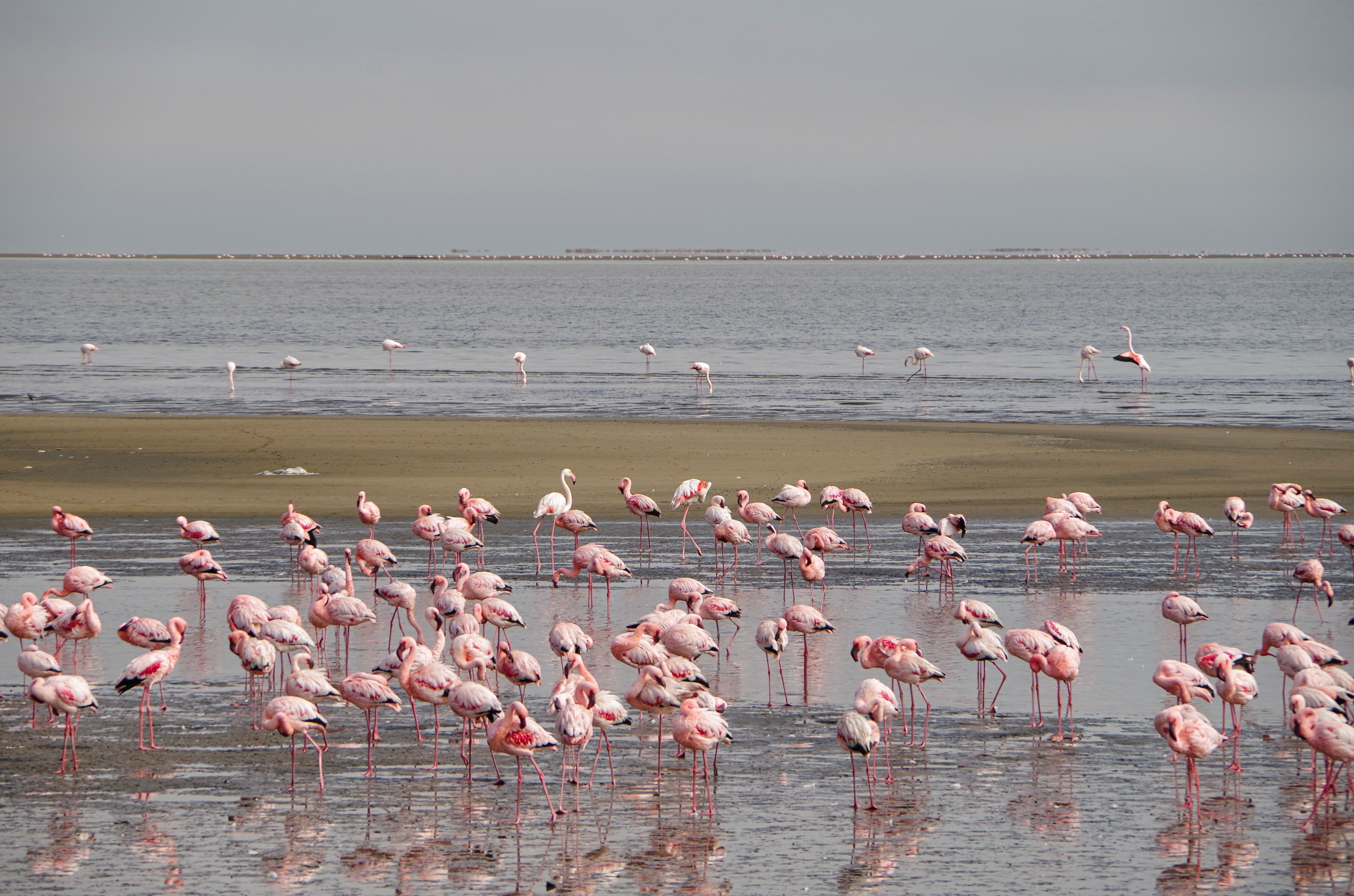 Sahara Race Namibiaの風景3