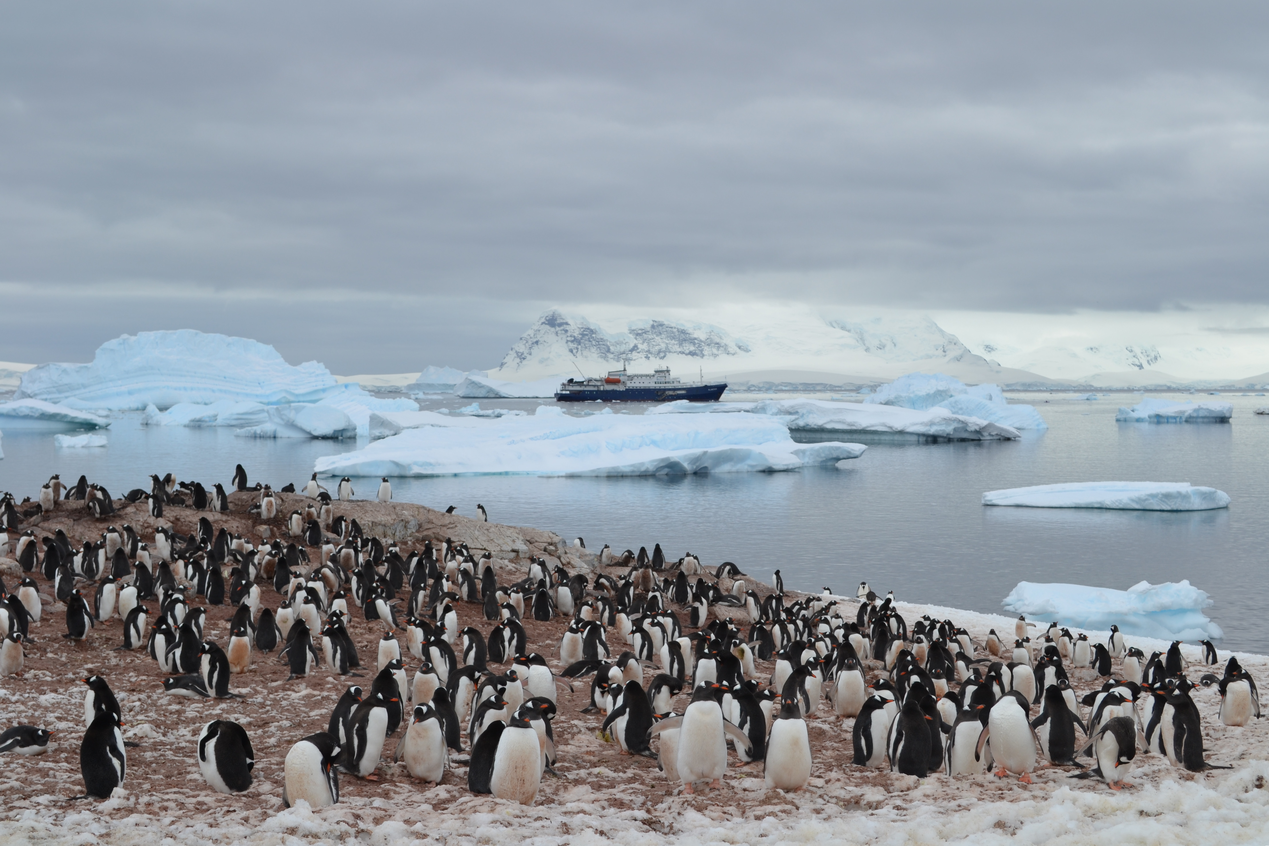 The Last Desert のイメージ