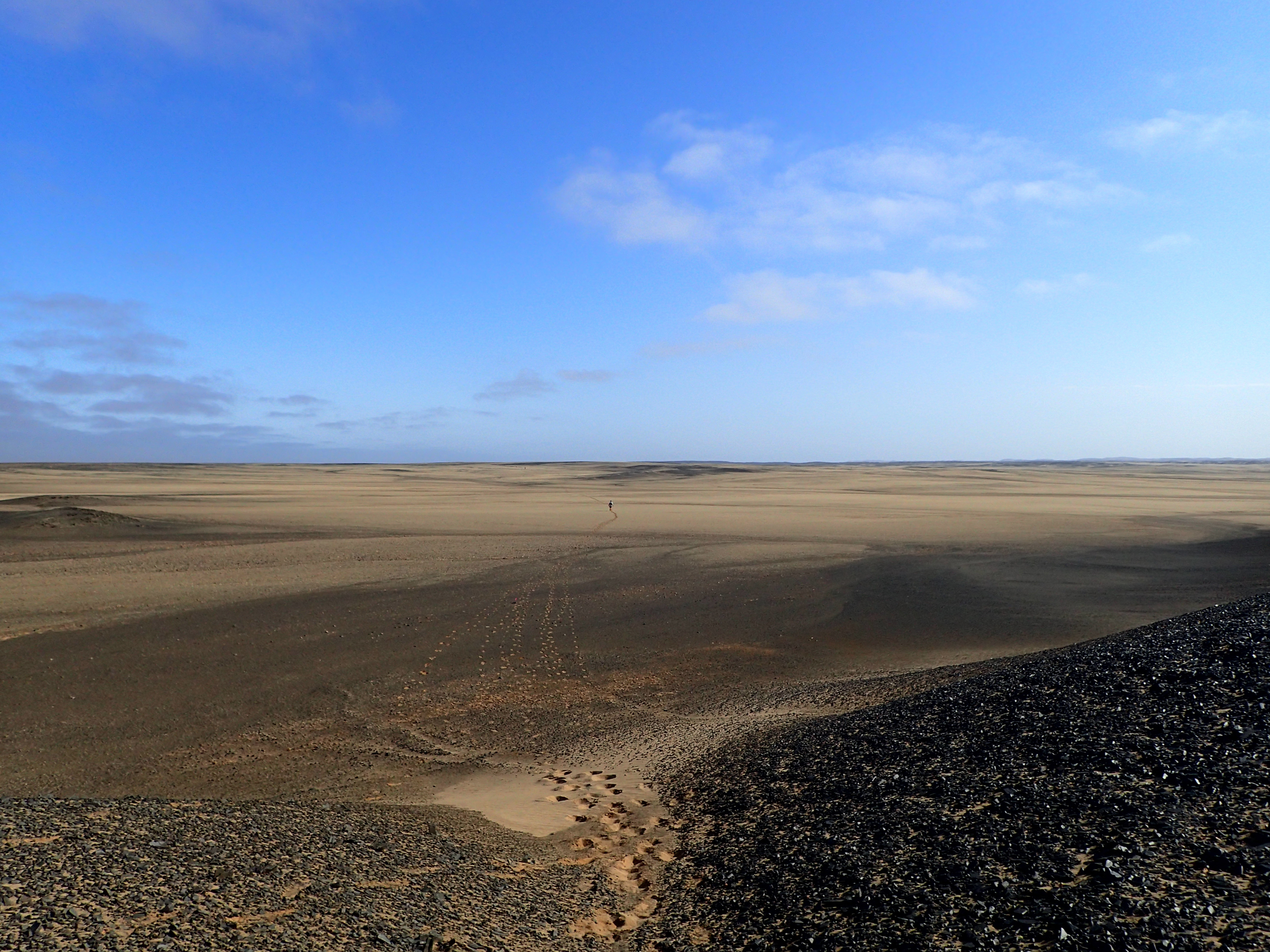 Sahara Race Namibia のイメージ