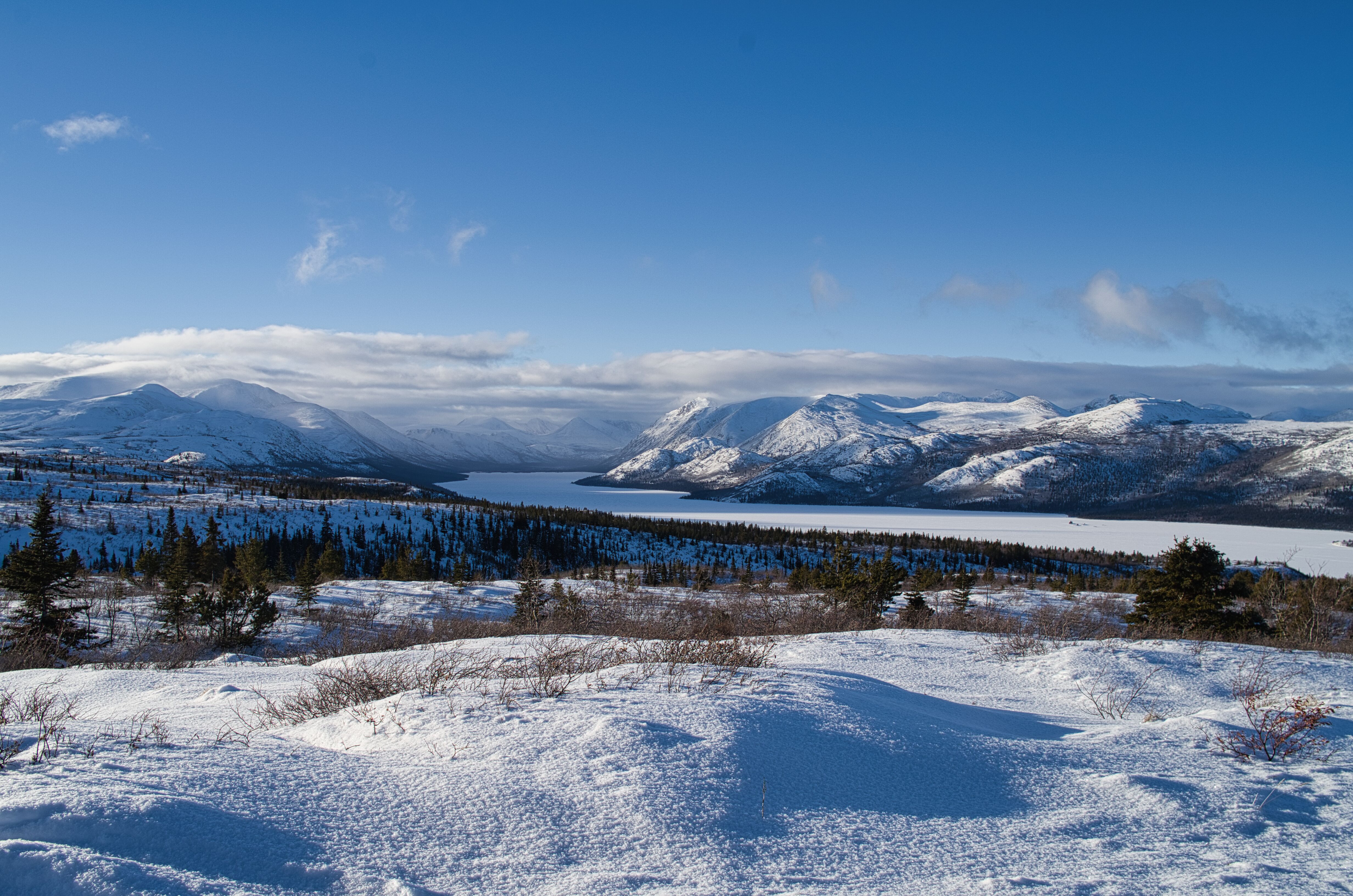 Yukon Arctic Ultra 2015 のイメージ